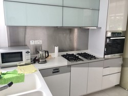 Cairnhill Residences (D9), Apartment #223576751